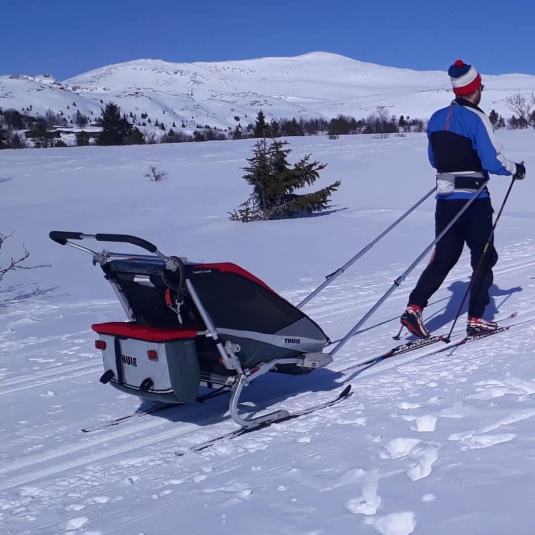 thule chariot cougar 1 test